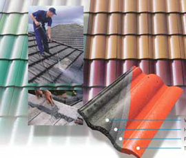 roof repair painting 2